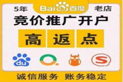 实战案例：SEM公司助力电商企业实现快速增长
